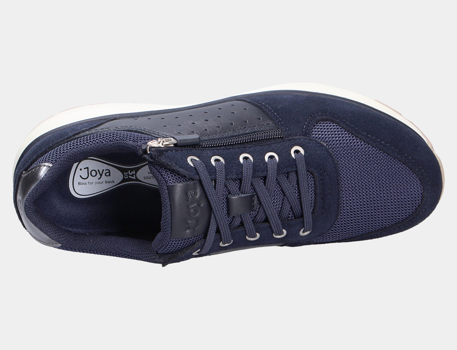 DYNAMO ZIP w dark blue