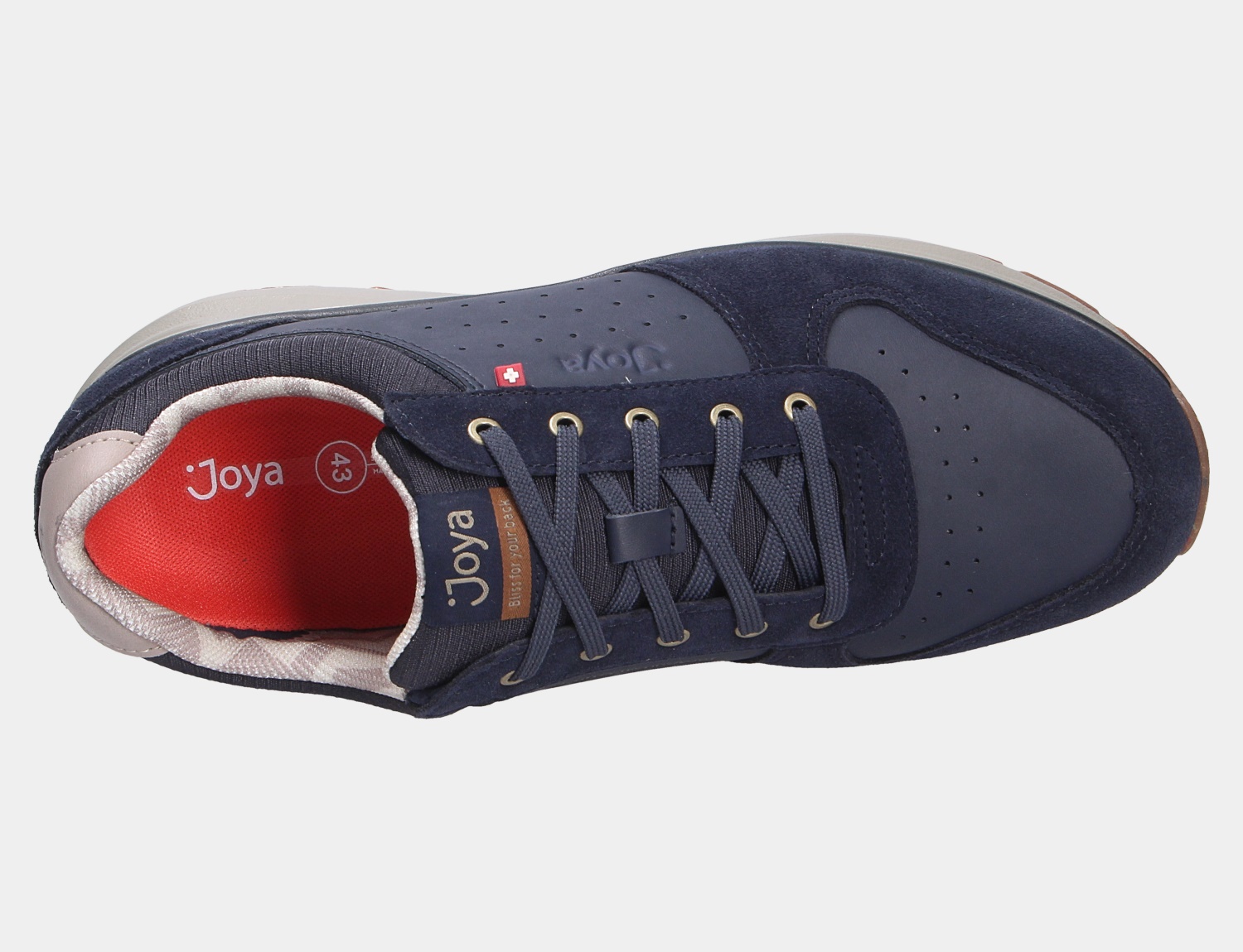 Dynamo Classic dark blue II