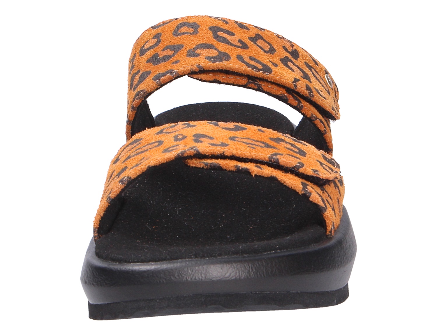 Vienna II light brown