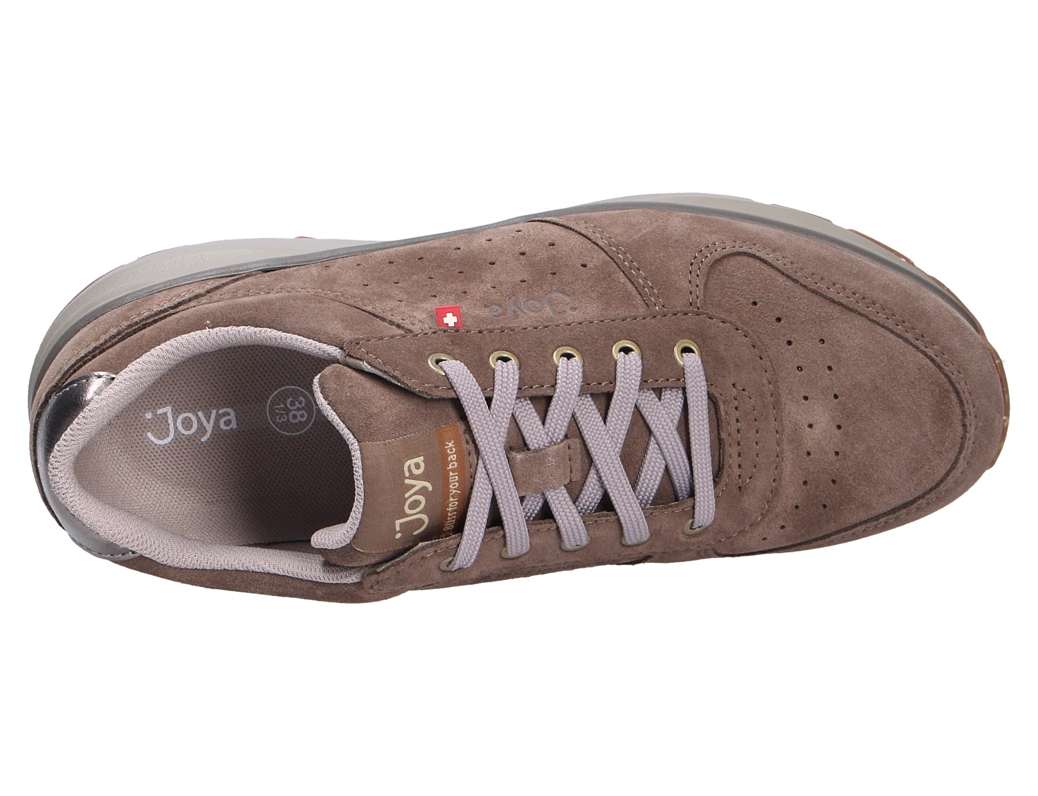 Dynamo classic w brown