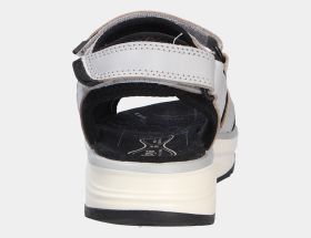 Komodo light blue/white